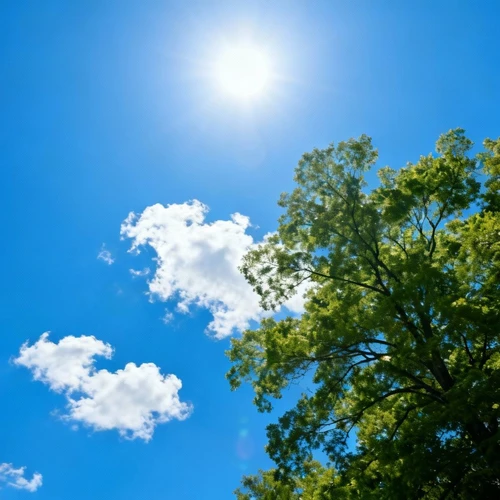 蔚蓝天空背景，带少量白云，阳光明媚，自然风景，仰视拍摄，色彩鲜艳