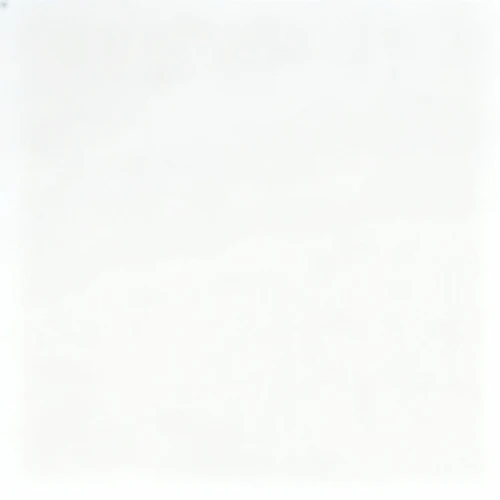 纯白色背景，RGB(255,255,255)，无阴影，亮度均匀