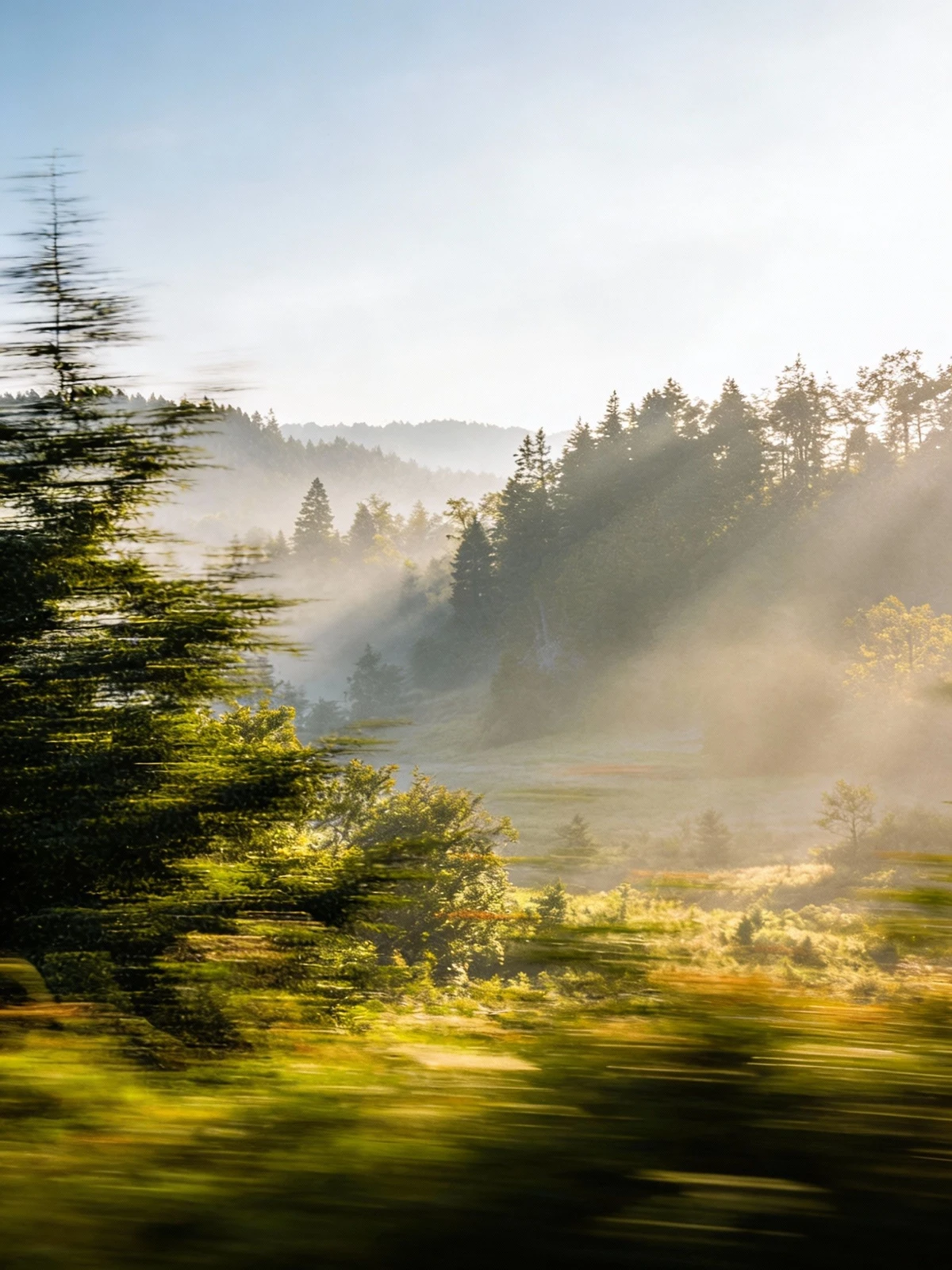 照片画质增强前示例照片