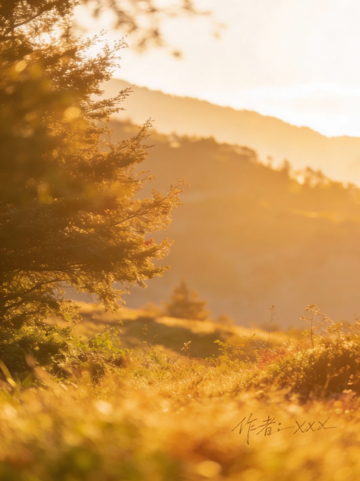 影视截图添加签名前示例照片