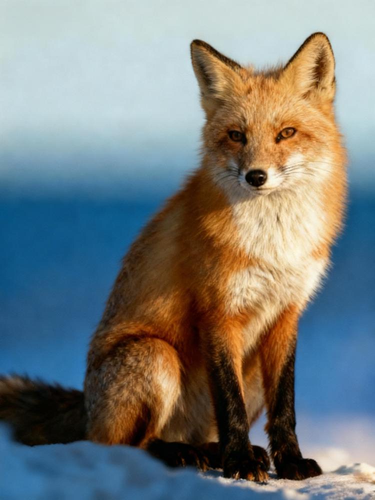 日期水印抹除前示例图片